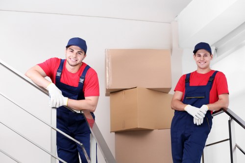 Packing materials organized by Sutton removers