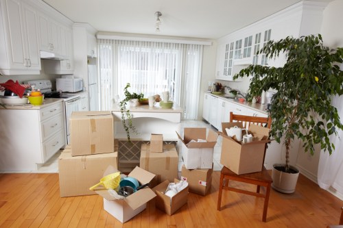 Eco-friendly moving practices by Lewisham removals